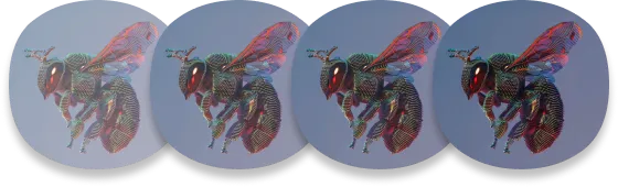 Vier bunte Insekten in einem Kreis