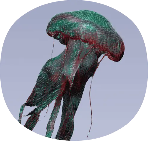 Bunte Qualle im Wasser