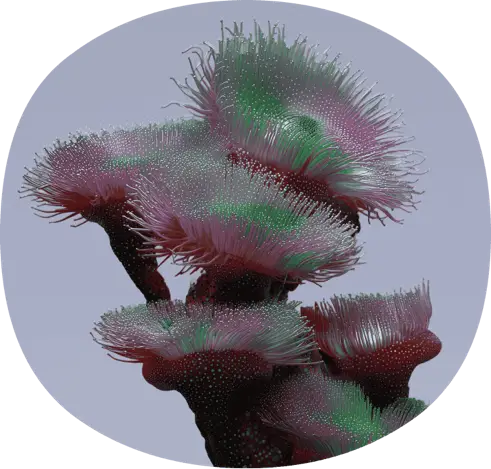 Bunte 3D-Korallenstruktur auf grauem Hintergrund